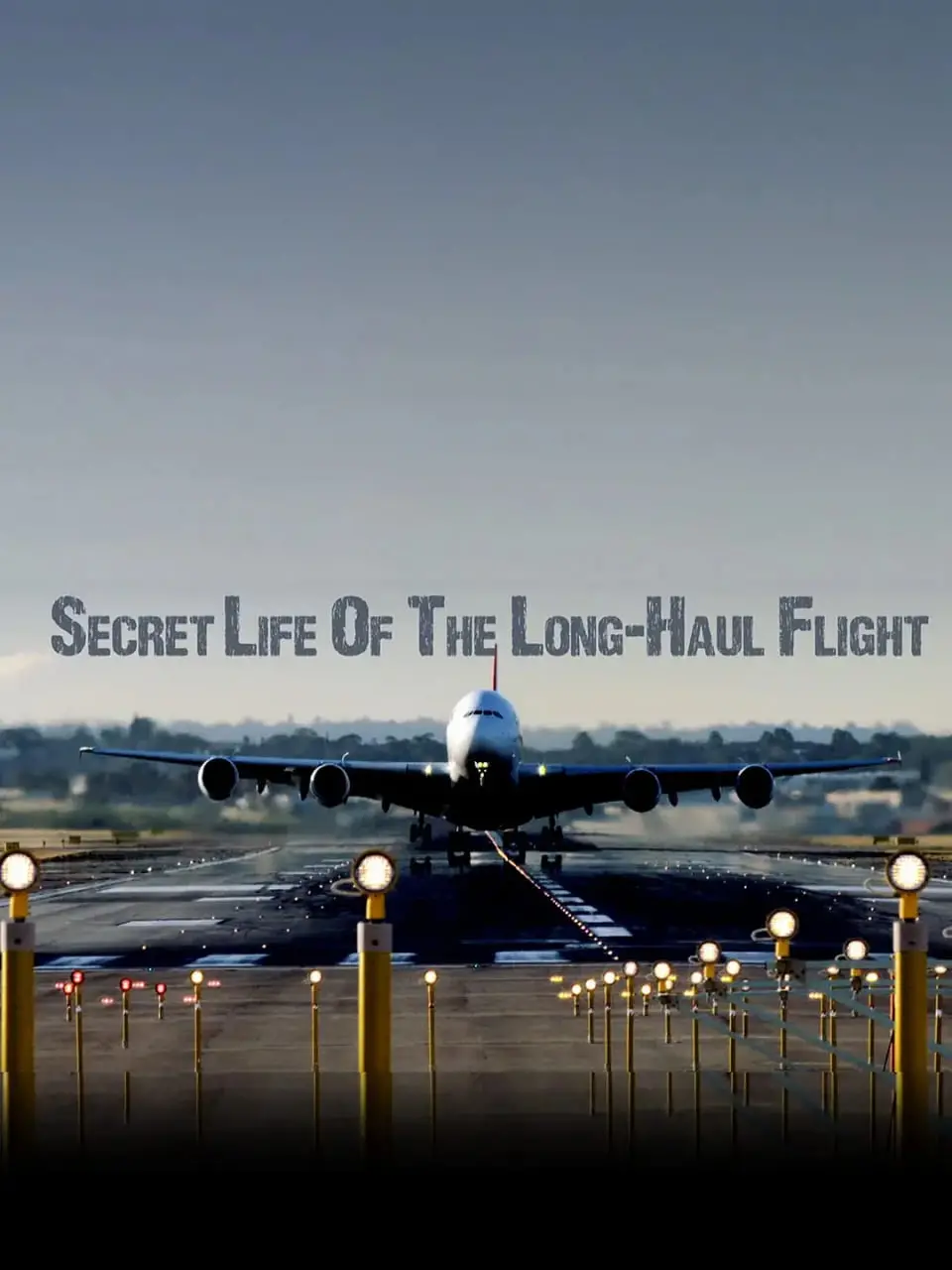 《长途航班的秘密生活》：高空之上，人生浮沉，一场关于梦想与现实的交织。
