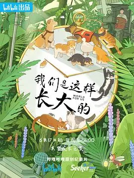 我们是这样长大的：真人秀天花板！这节奏太上头了，看完只想原地结婚！