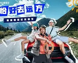 《恰好去远方》：旅途中的治愈与自我发现，一场温暖心灵的公路奇遇记