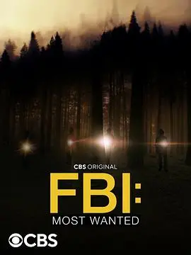 《联邦调查局：通缉要犯 第四季》：FBI硬核破案，这节奏我给满分，每一集都是高能！
